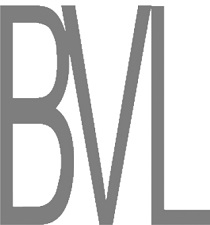 B.V.L. Trading Co.,Ltd logo