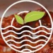 Charming Group Co., Ltd. logo