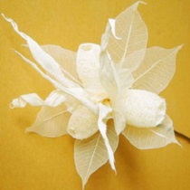 A Gift From Nature Co.,Ltd. logo